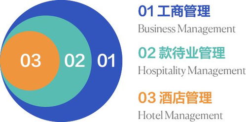 seg insights 从语言类专业到瑞士酒店管理, 珠联璧合 打造国际化商业精英