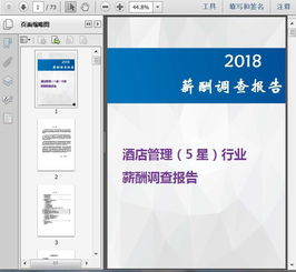2018酒店管理 5星 行业薪酬调查报告69页