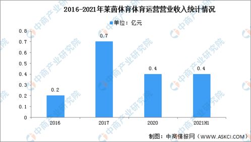2022年中国冰雪产业行业市场前景及投资研究预测报告 简版