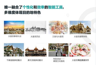 定制游公司的竞争策略,浅谈旅游企业的软件和硬件配置